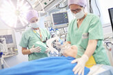 Anästhesiologie und Intensivmedizin